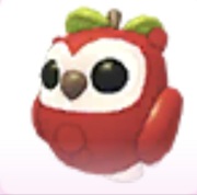 Apple Owl - Adopt Me Roblox