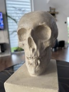 Gipsowa czaszka 