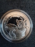 MONETA SREBRNA 5 CEDIS NIEDŹWIEDŹ - REPUBLIC OF CHANA 1 OZ - 2020