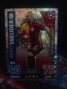 Wesley Sneijder Karta Gwiazdy nr.391
