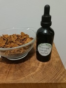 Ekstrakt czaga 100 ml