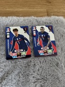 karty FIFA world cup qatar2022 Francja