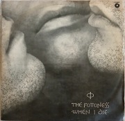 Płyta winylowa Fotoness
