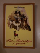 książka "Puc, Bursztyn i goście" Jan Grabowski