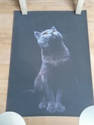 Obraz na płótnie Kot 50x70 cm. Druk komputerowy 