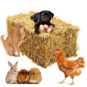 Świeża Słoma Bela Kostka 8kg dla psa, kur ,pod truskawki 