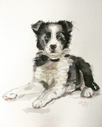 Akwarela z wizerunkiem psa