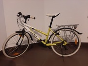 Rower Author Junir Cross 15 koła 24"