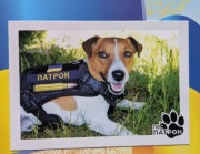 Ukraina Pocztowka 1 Pies Naboj PATRON z sztampa