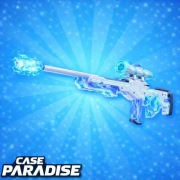 Case Paradise | 100k$ | Fast Delivery