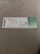  Niemcy Brazylia 2011 