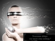 Wykonanie sklepu Poznań