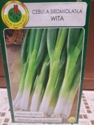 Cebula siedmiolatka 'Wita'