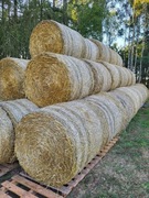 Słoma owsiana w balotach 120x120