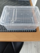 Braplast pojemnik z klapką dla ptasznika 34szt.