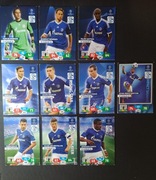 Panini Champions League 2013/14 Zestaw Schalke