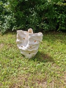 Może stać się idealną lampą 