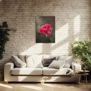 Fotoobraz na płótnie 50x70 – Róża | Natura | Prezent