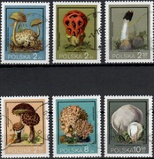 Fi. 2545-2550. Grzyby niejadalne pod ochroną