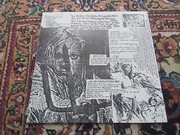 Sonic Youth -Evol wkładka z opisem do płyty winylowej 