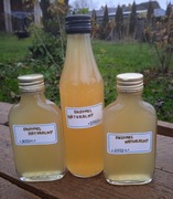 OKSYMEL NATURALNY (250 ml) - W NASZEJ SPIŻARNI