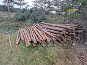 Stemple budowlane nowe 