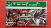 BELGIA / STARA / - Karta telefoniczna  /  304 C  /  Niski nakład /  ZOO