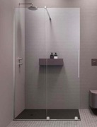 Kabina Radaway Furo Walk-in 100 lewe