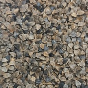 gryka na zasiew, 1kg