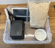 Starter Box dla węża zbożowego