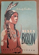 Mały Bizon Arkady Fiedler