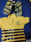 Stroj pszczoly .skrzydelka i opaska