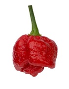 Kolekcjonerskie Nasiona papryki Trinidad Scorpion