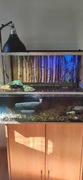 Akwarium Duże + Akcesoria 