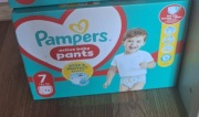 Pampers Pants 7 Karton 74 sztuki