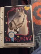 Karteczka do segregatora duża