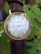 Łucz luch poljot de luxe 23