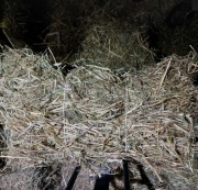 Siano kostka koniczyna szwedzka białoróżowa naturalne