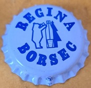 NIEBUTELKOWANY Rumunia  Regina Borsec   CCI    42089 woda