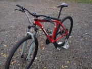 Rower TREK X-Caliber 29"