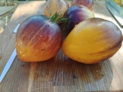 VERY SWEET BLUES nasiona Pomidor Kolekcjonerski