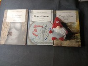 Cherezińska Ja Jestem Haloero Saga Sigrun Pasja według Einara