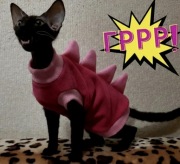 Ciepłe bluzy polarowe dla kota „Dinozaur”.Dokładne wymiary