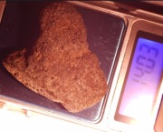 Bursztyn Bałtycki Polski Żużlak - okaz kolekcjonerski 14 gram