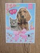 Karteczka do segregatora mała