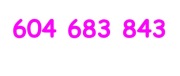 604 683 843 ZŁOTY NUMER T-Mobile