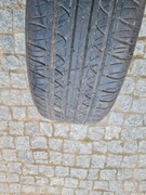 Pojedyncza Opona Fusion touring 205/55R16