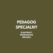 Plan pracy pedagoga specjalnego - przedszkole. Wklejka. Pdf