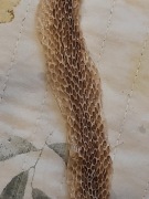 Wylinka węża mahoniowego