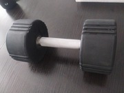 Hantel 12 kg stan bdb body sculpture